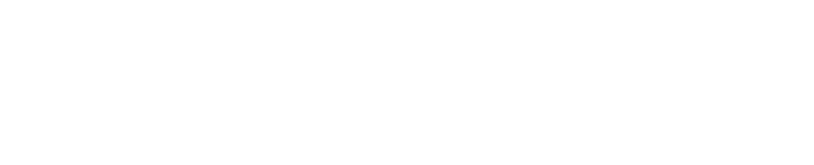 LÍDERES EN EL SECTOR DE COMPRA  DE COCHES DE 2ª MANO Reserva de Dominio | Embargos | Deudas | Impuestos | Quiebras | Precinto